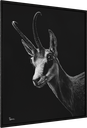 ArtBox Print "Nova"