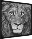ArtBox Print "Solomon"