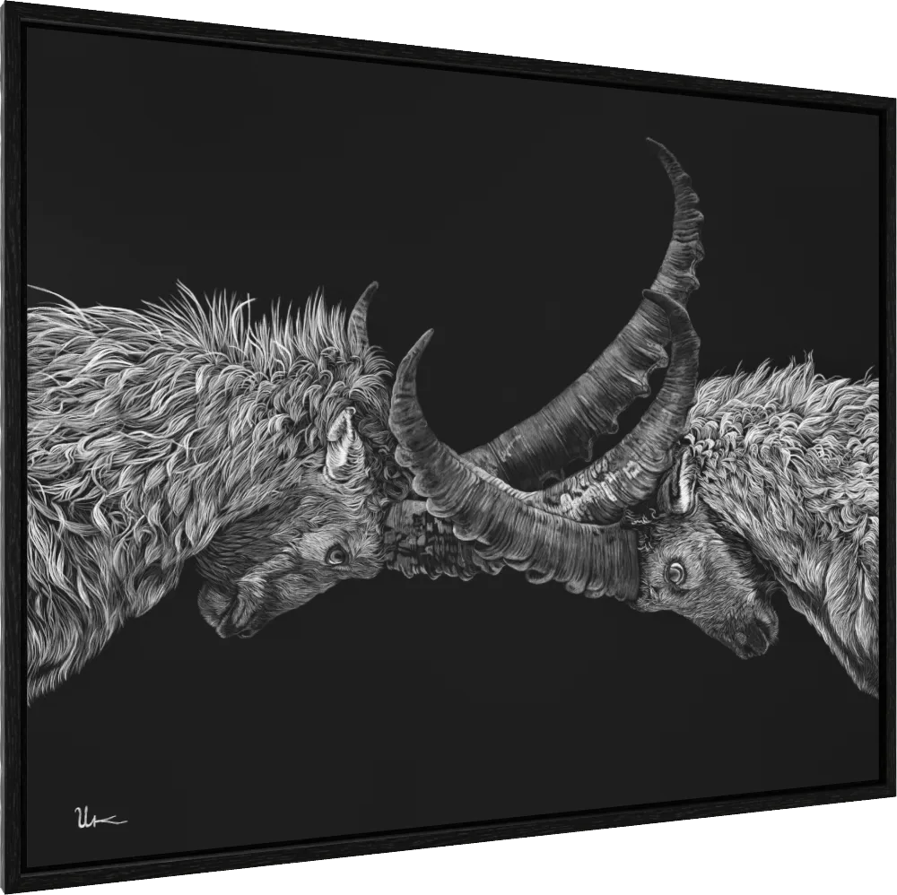 ArtBox Print "Erwin & Rino"