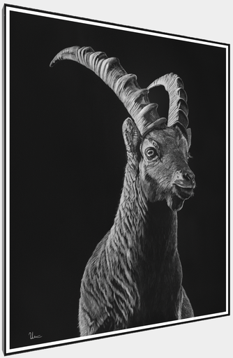 ArtBox Print "Domeni"