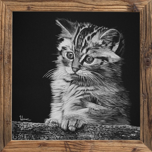 FineArt Print "Manu" inkl. Altholzrahmen (RESERVIERT)