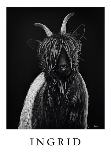Postcard "Ingrid"