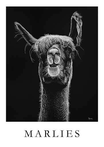 Postkarte "Marlies"