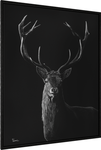 ArtBox Print "Arthur"