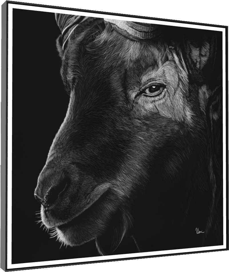 ArtBox Print "Ivo"