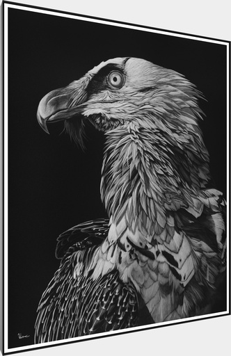 ArtBox Print "Rolf"