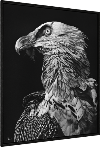 ArtBox Print "Rolf"